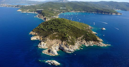 Enfola, Isola d'Elba