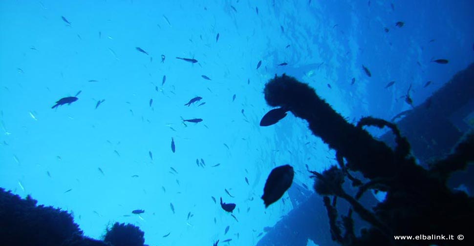 Wreck of Pomonte